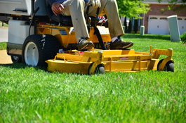 Maintence Free Living Lawn Care