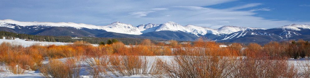 winter park co real estate