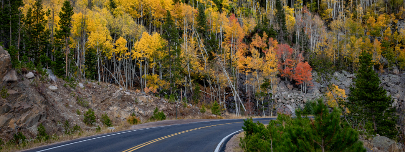 fall foliage in winter park colorado