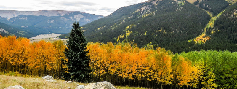 fall foliage near winter park colorado 