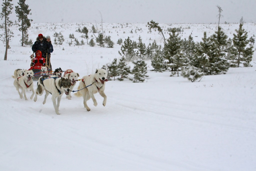 Photo Credit: Snow Mountain Ranch 