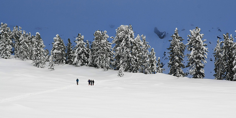 Snowshoe Winter Park