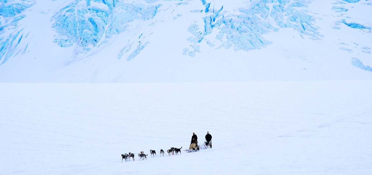 Winter Park Dog Sledding