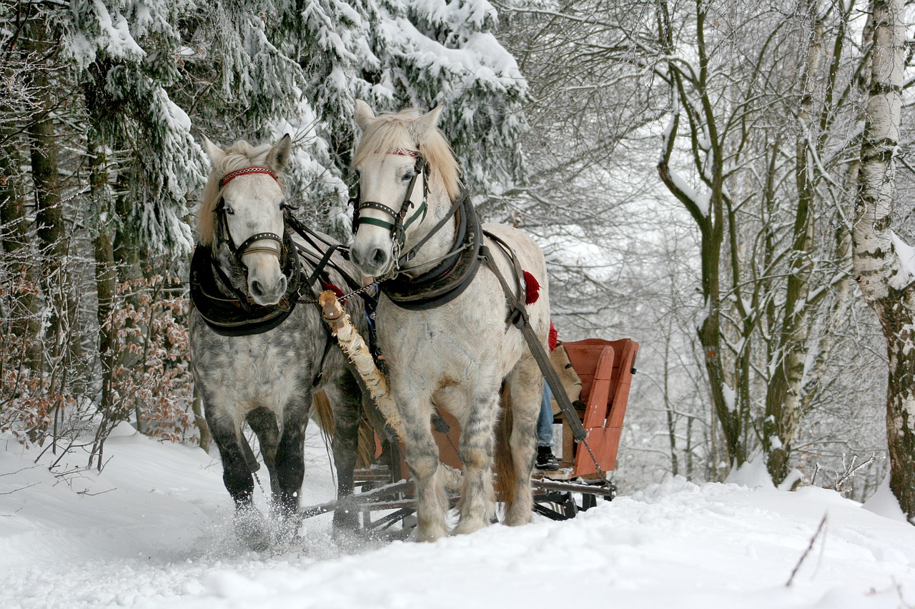 Sleigh Rides in Winter Park