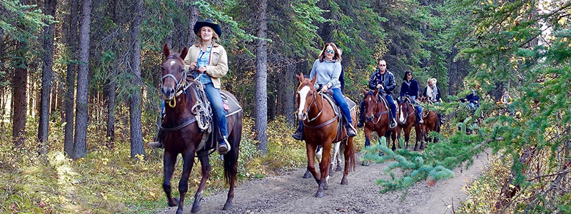 Winter Park Horseback Riding