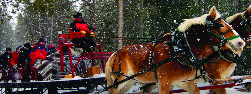 Horse Sleigh Rides Winter Park