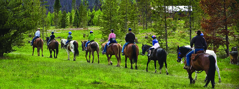 Winter Park Trail Horse Riding