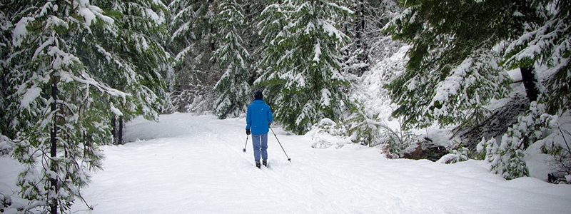 Cross Country Skiing Fraser Valley
