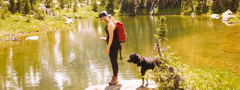 Best Dogs for Colorado | Dog Breeds to Take Backpacking