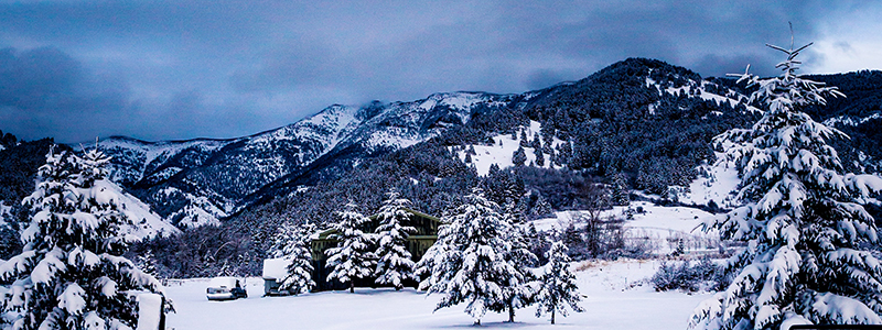 Bozeman MT Rockies