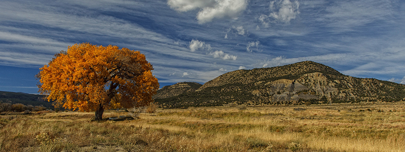 Taos Rocky Mountain Town