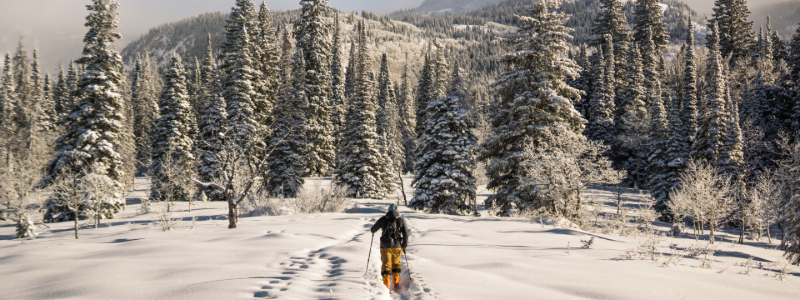 steamboat springs colorado condos